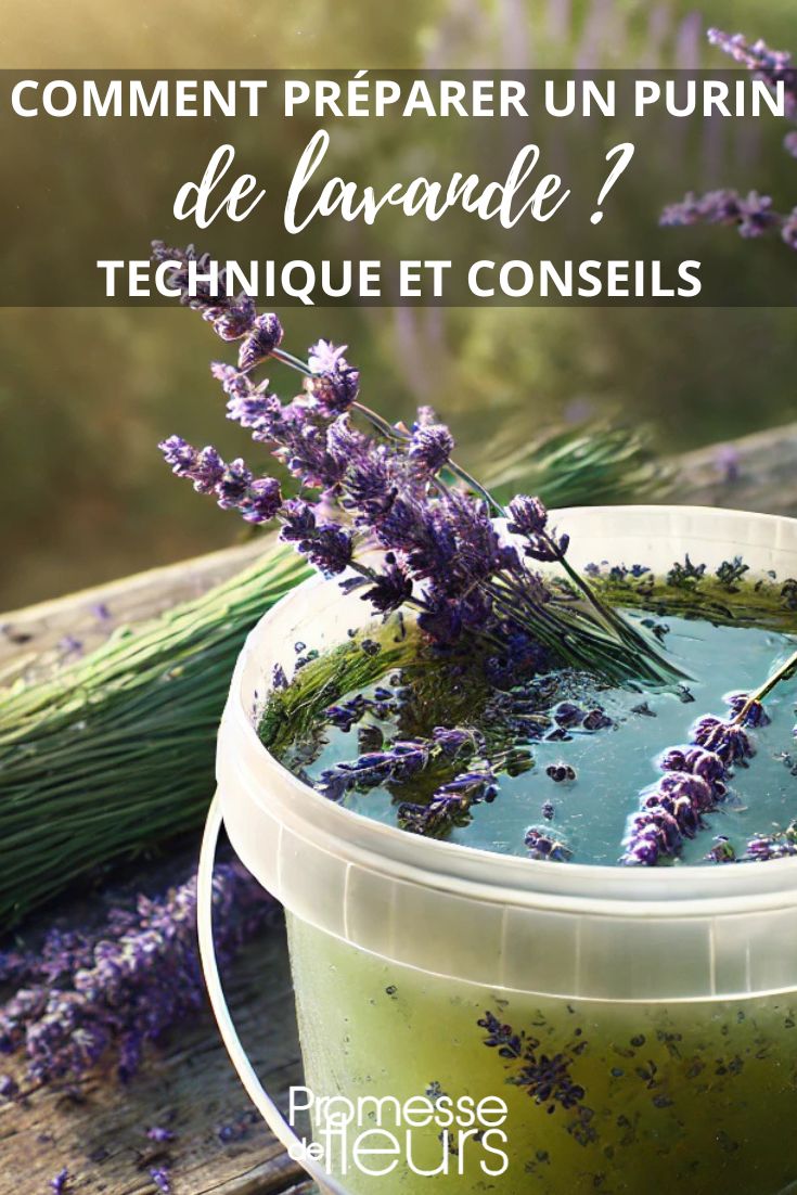Making Lavender Compost