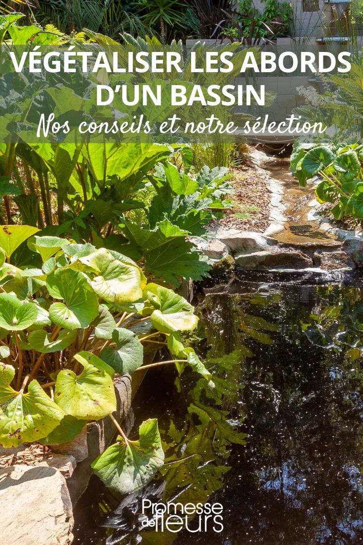 Landscaping around a pond
