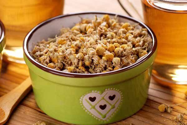 How to Make Chamomile Infusion and Maceration to Boost Your Crops?