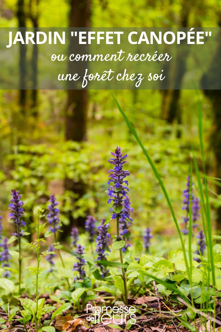 Le jardin-forêt, également appelé jardin nourricier ou forêt comestible, est un concept de jardinage qui s'inspire des écosystèmes naturels tels que la forêt. Il s'agit de créer un espace de culture où les plantes fruitières, légumières, aromatiques et médicinales cohabitent de manière harmonieuse, imitant ainsi la diversité et l'interdépendance des espèces végétales que l'on retrouve en forêt. Ce type de jardin favorise la biodiversité, réduit les besoins en entretien et en arrosage, et offre une grande variété de récoltes tout en préservant l'équilibre écologique.