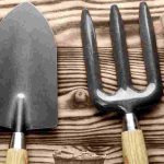 Gardening for beginners: how to choose your tools wisely?