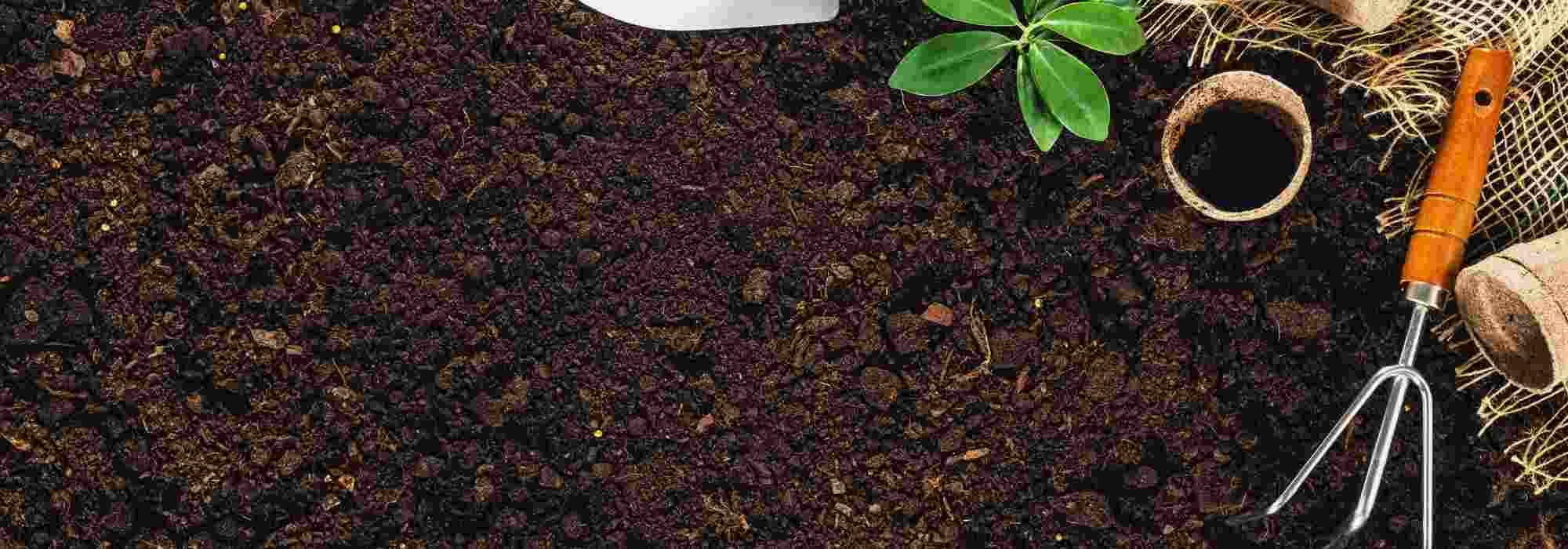 Spring soil preparation: the essential gardening tasks
