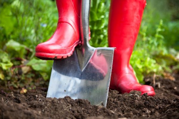 Beginner gardening: digging, what is it? How to do it?
