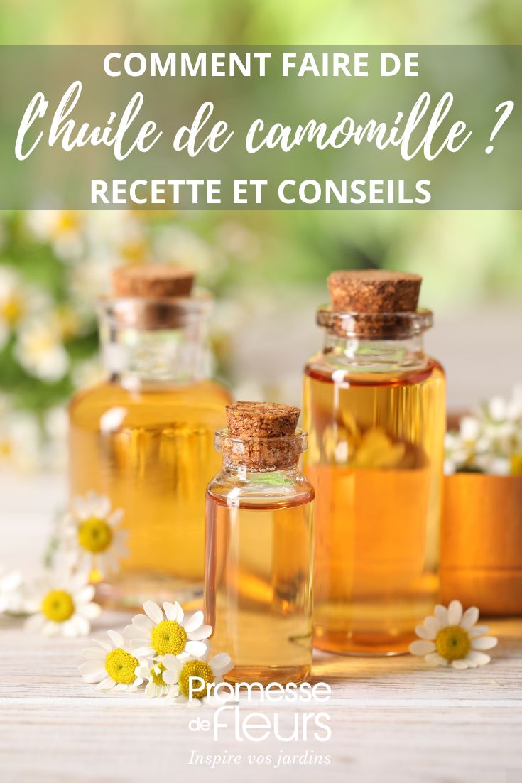 chamomile oil recipe