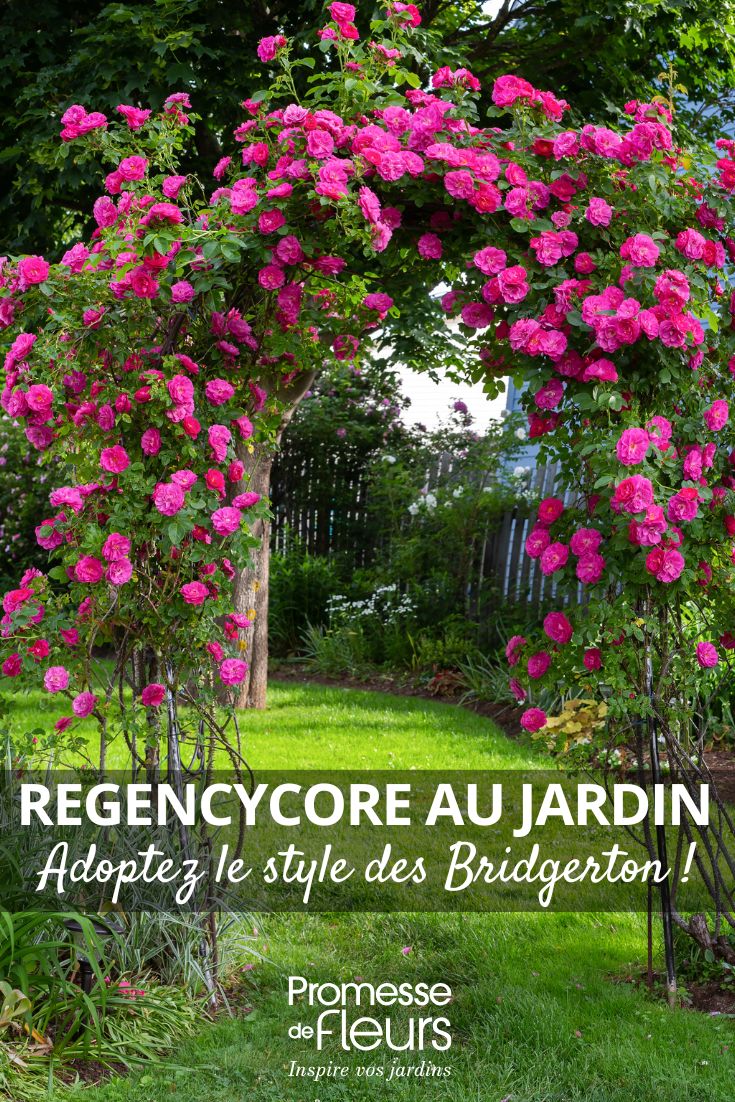 Regencycore in the Garden: Embrace the Bridgerton Style A rose arch in a romantic garden