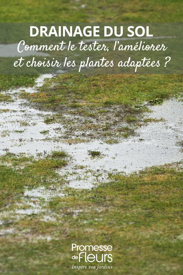 improving soil water drainage