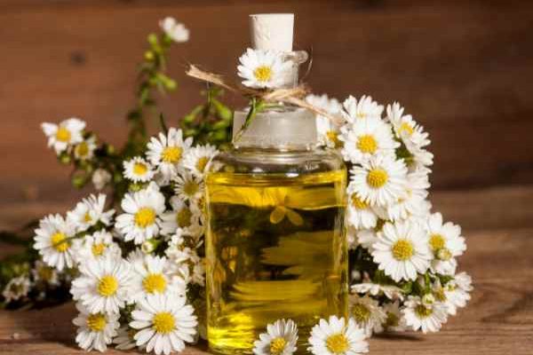 How to Make Chamomile Oil: Our Step-by-Step Guide