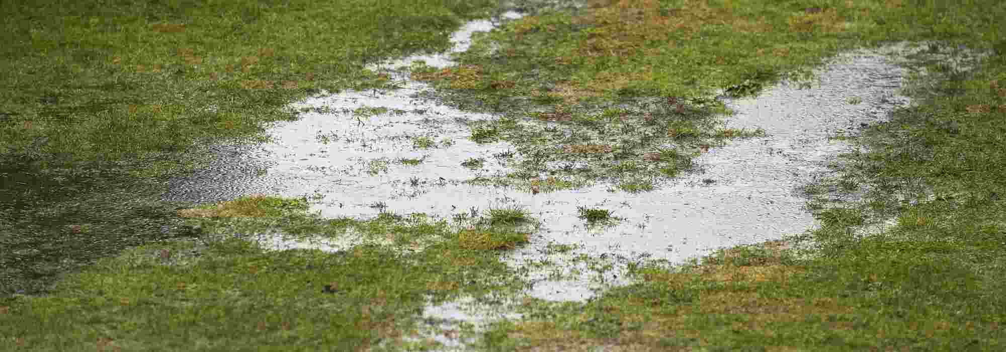All about soil drainage in the garden