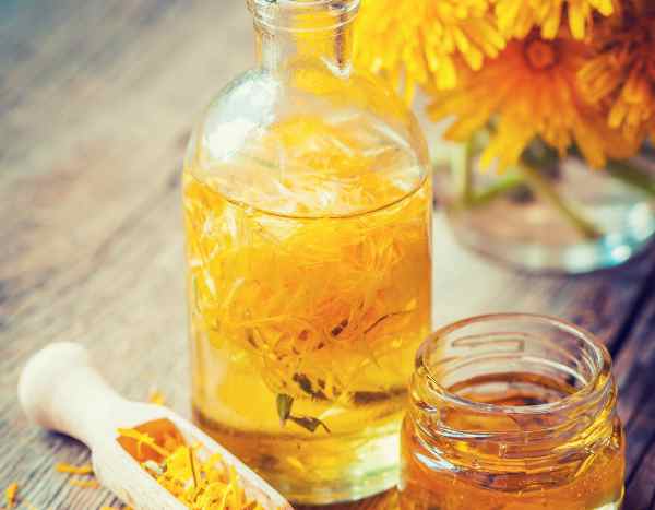 How to make homemade dandelion oil? Our step-by-step guide