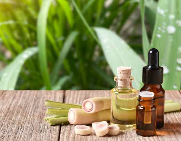How to make homemade lemongrass oil?