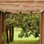 Wood in the Garden: Ideas and Inspiration