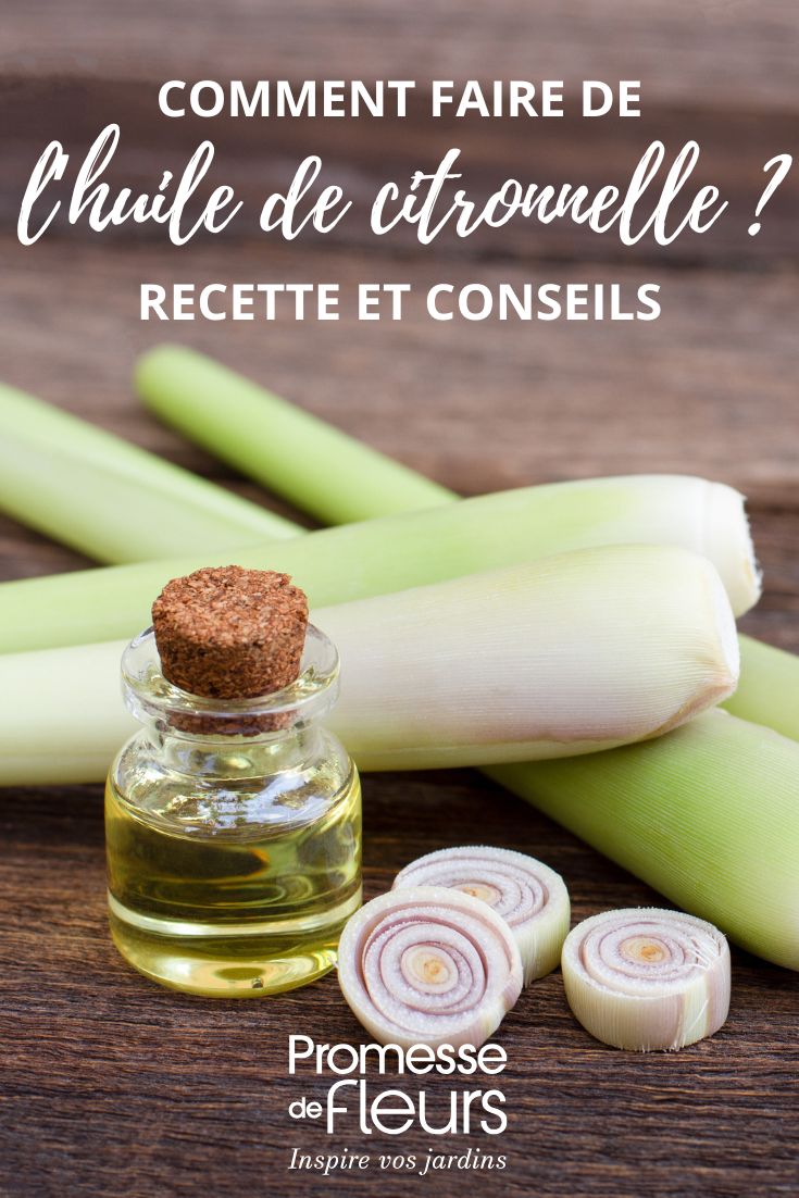 Lemon Grass Oil Recipe