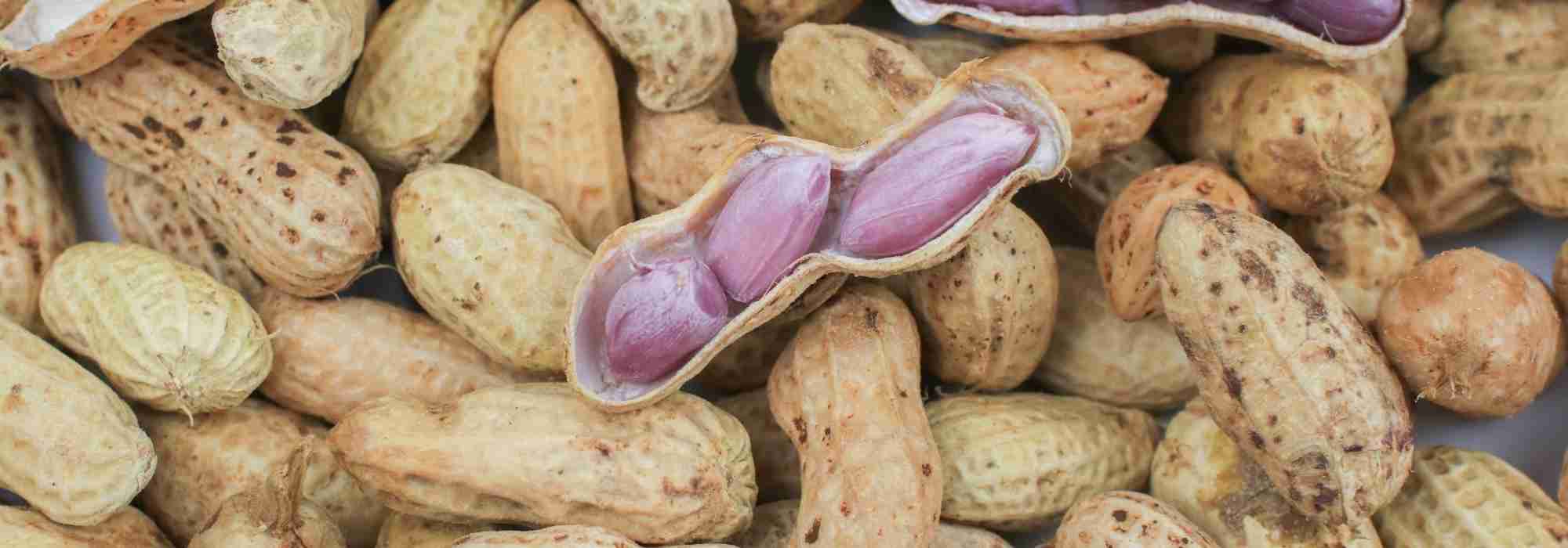 How to grow peanuts ?