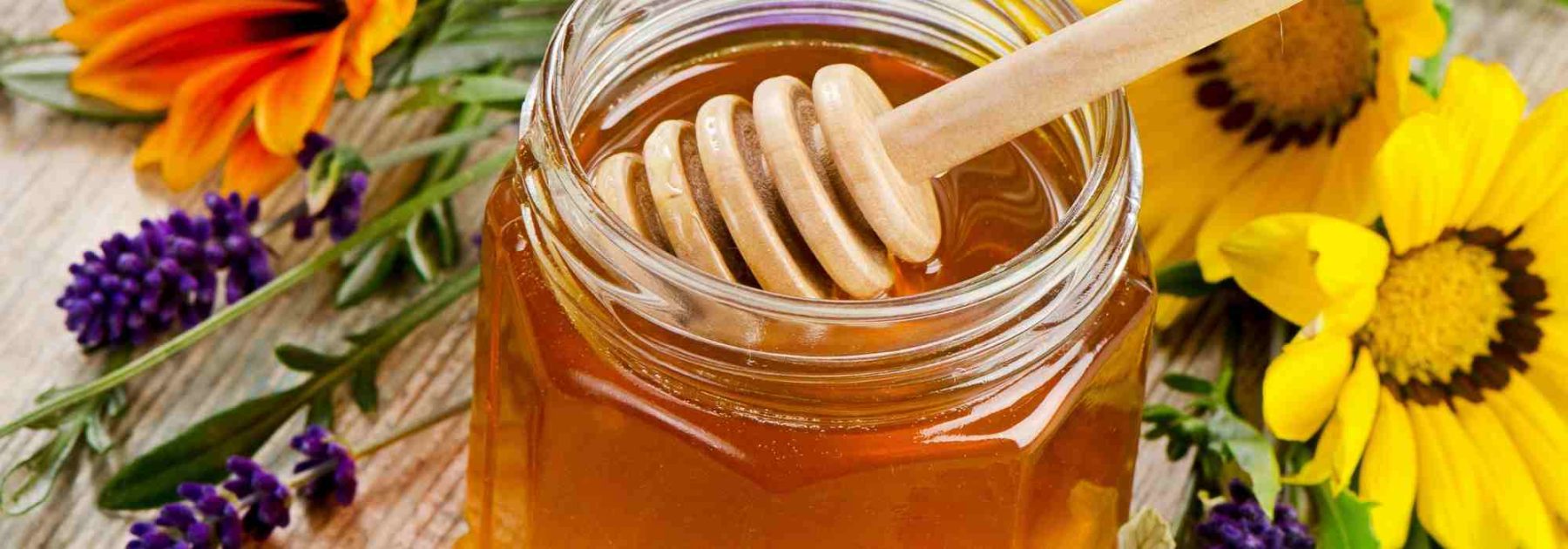 Honey in the Garden: A Natural Ally for Your Plants and Your Health