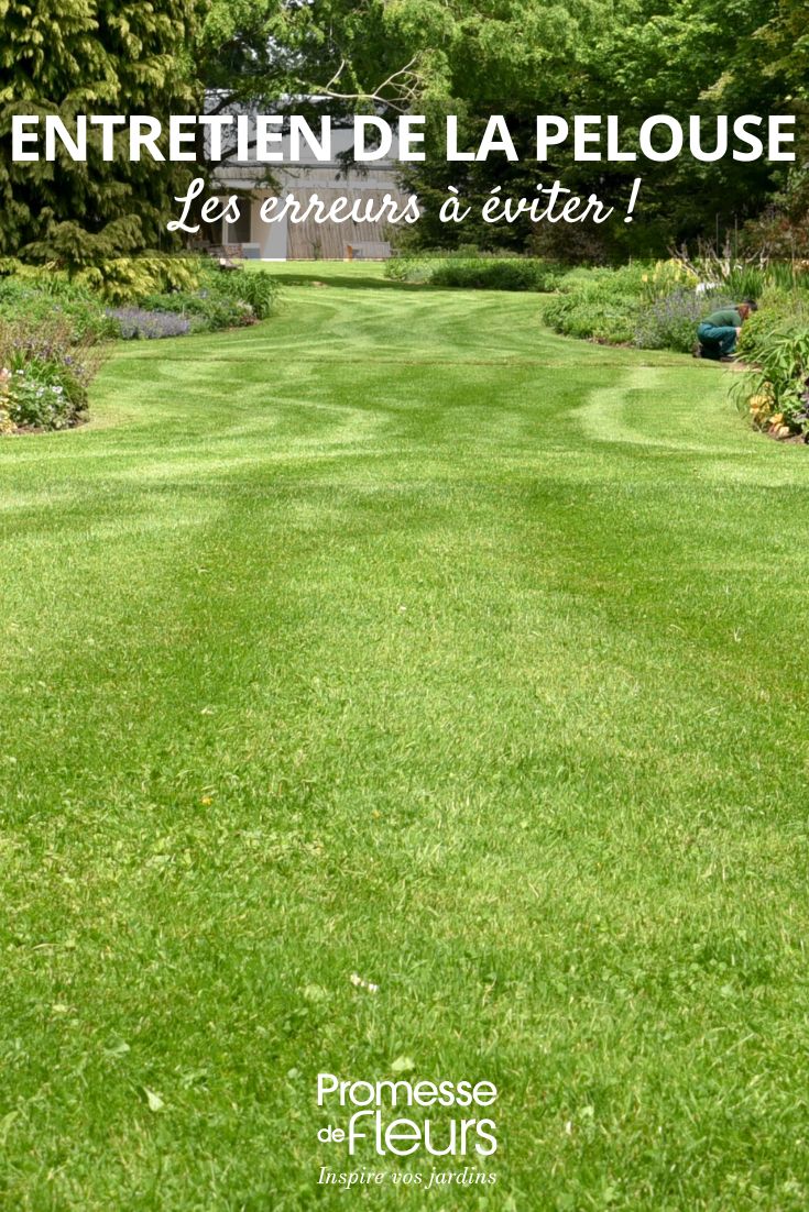 Lawn Maintenance: The Most Common Mistakes short grass meadow: mistakes to avoid for a beautiful lawn
