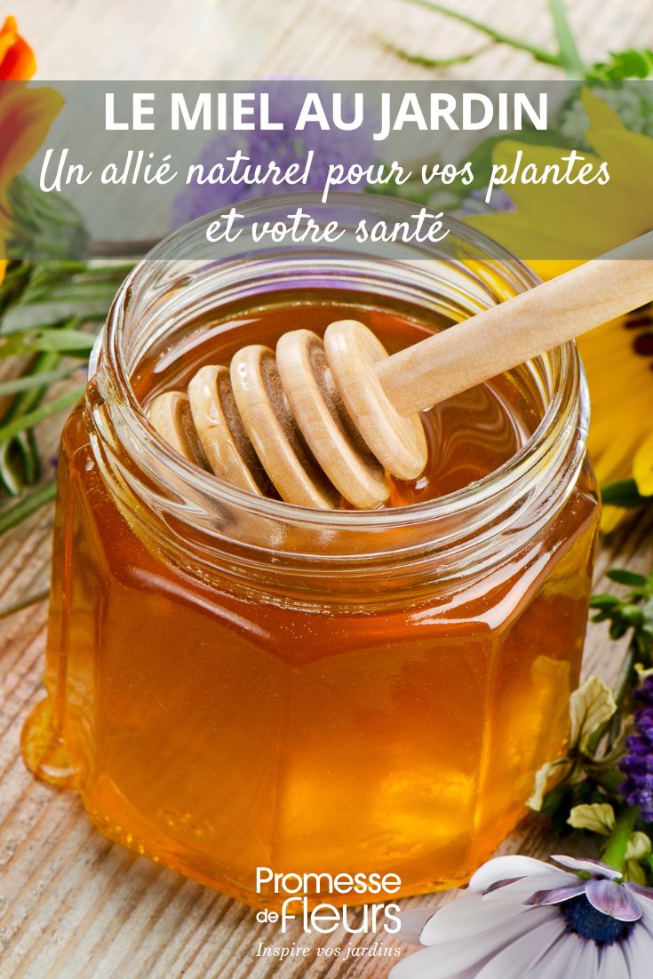 the use of honey in the garden