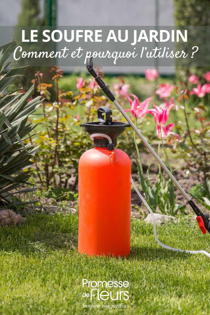 Sulphur in the Garden: How and Why to Use It using sulphur in the garden