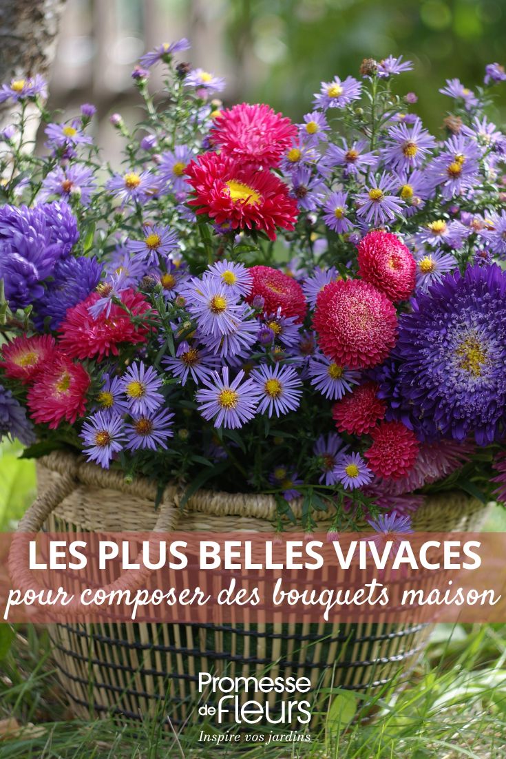 The Most Beautiful Perennials for Creating Homemade Bouquets (1) BOUQUETS OF PERENNIAL FLOWERS