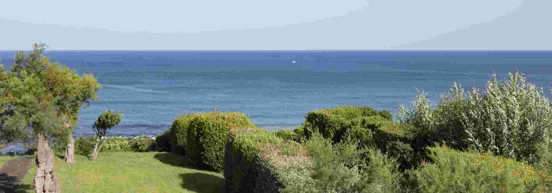 The best bushes for oceanic and coastal climate