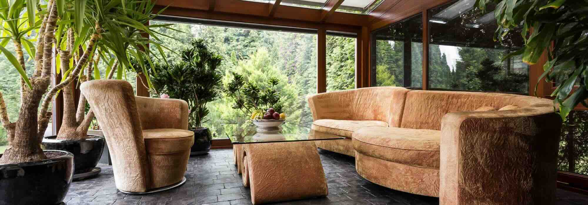 Ideal indoor plants for a conservatory