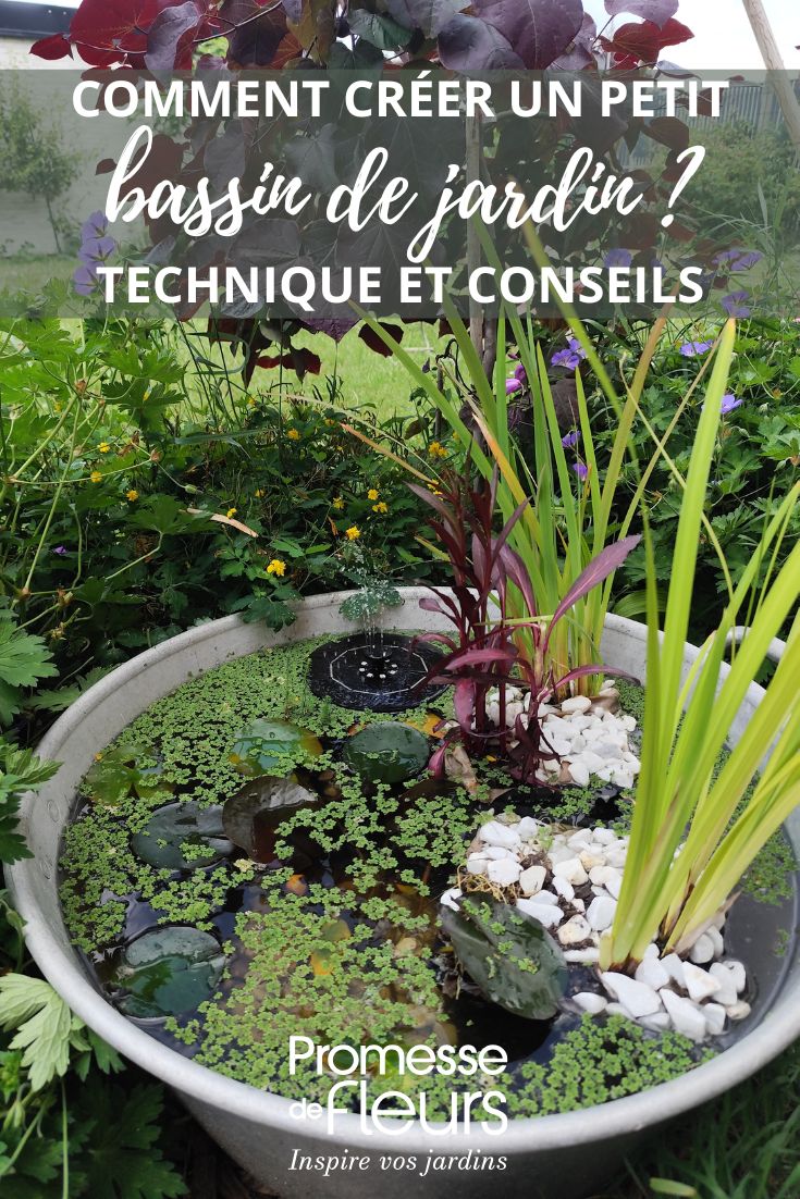 A small above-ground garden pond