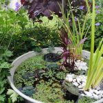 How to create a small garden pond?