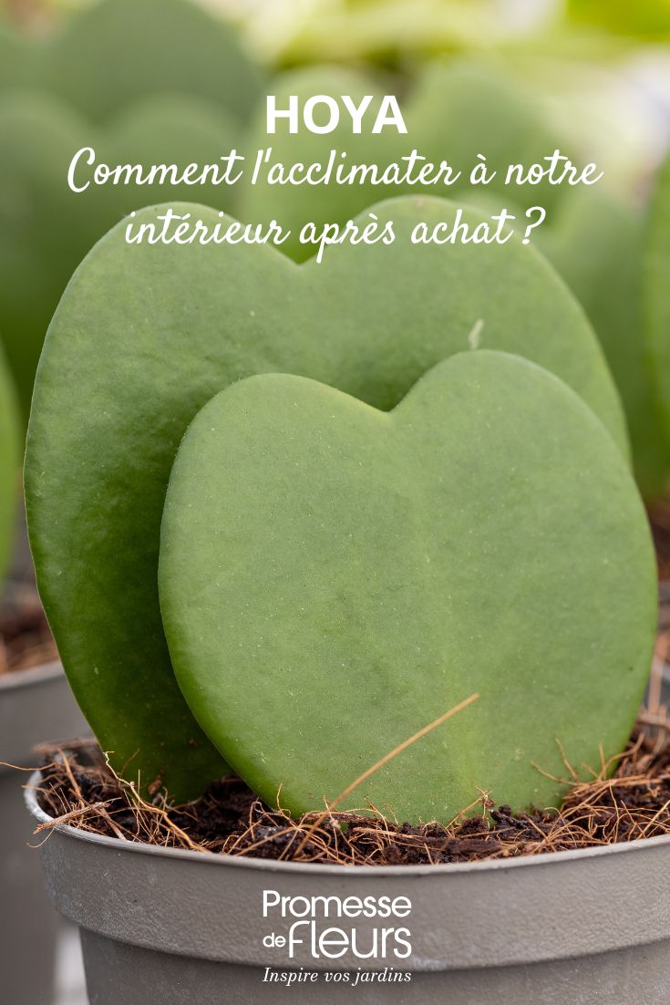 Bien doser ses arrosages au jardin nos conseils avisés