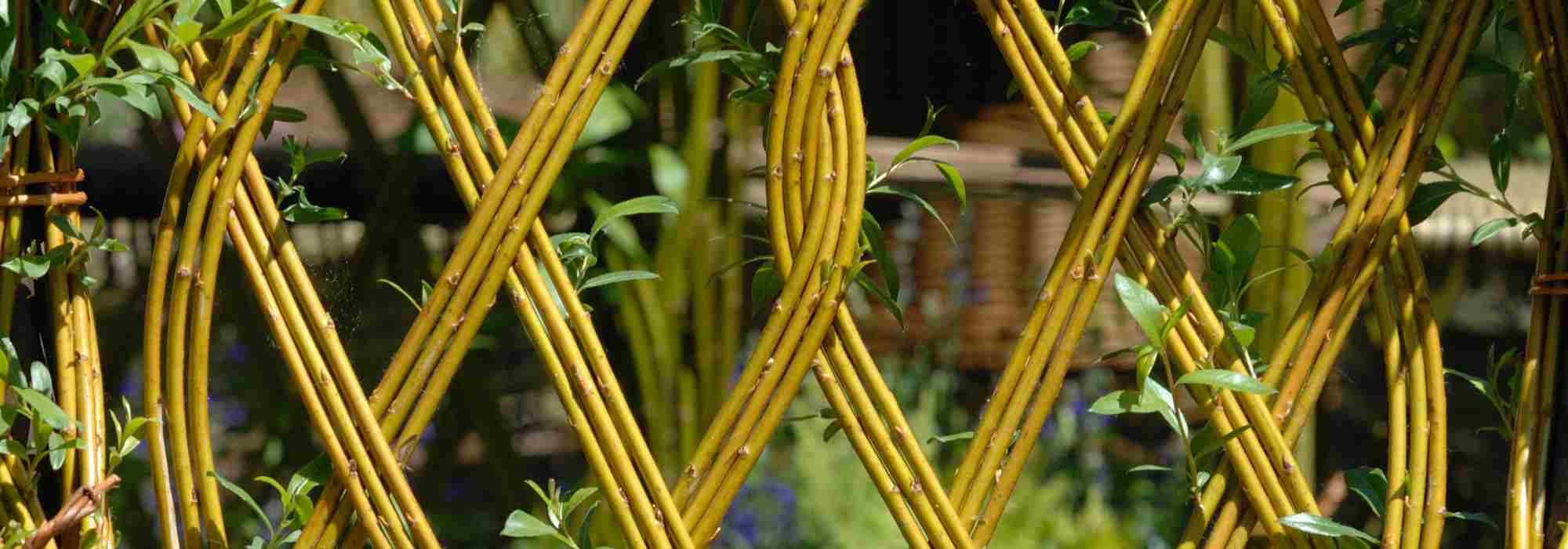 Willow in the Garden: Ideas and Inspiration