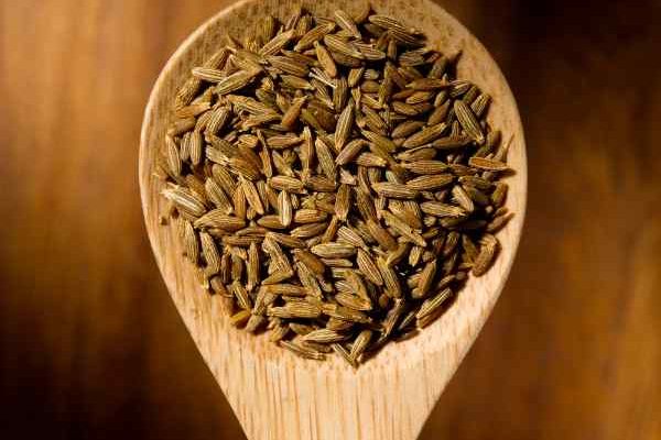 Comment to harvest and store cumin seeds