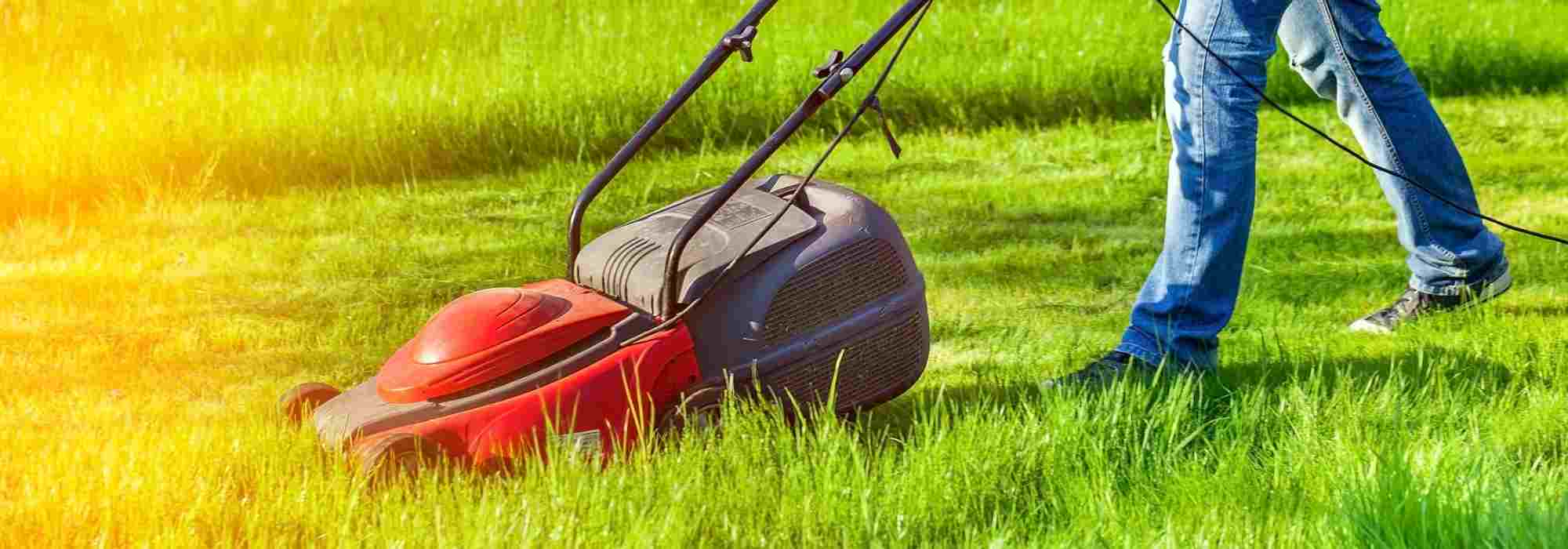 How to properly maintain your lawn mower?