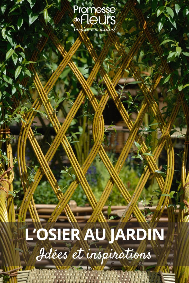 willow-in-the-garden-ideas-and-inspiration Uses of osier in the garden