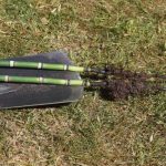 How to propagate horsetail (Equisetum) in the garden?