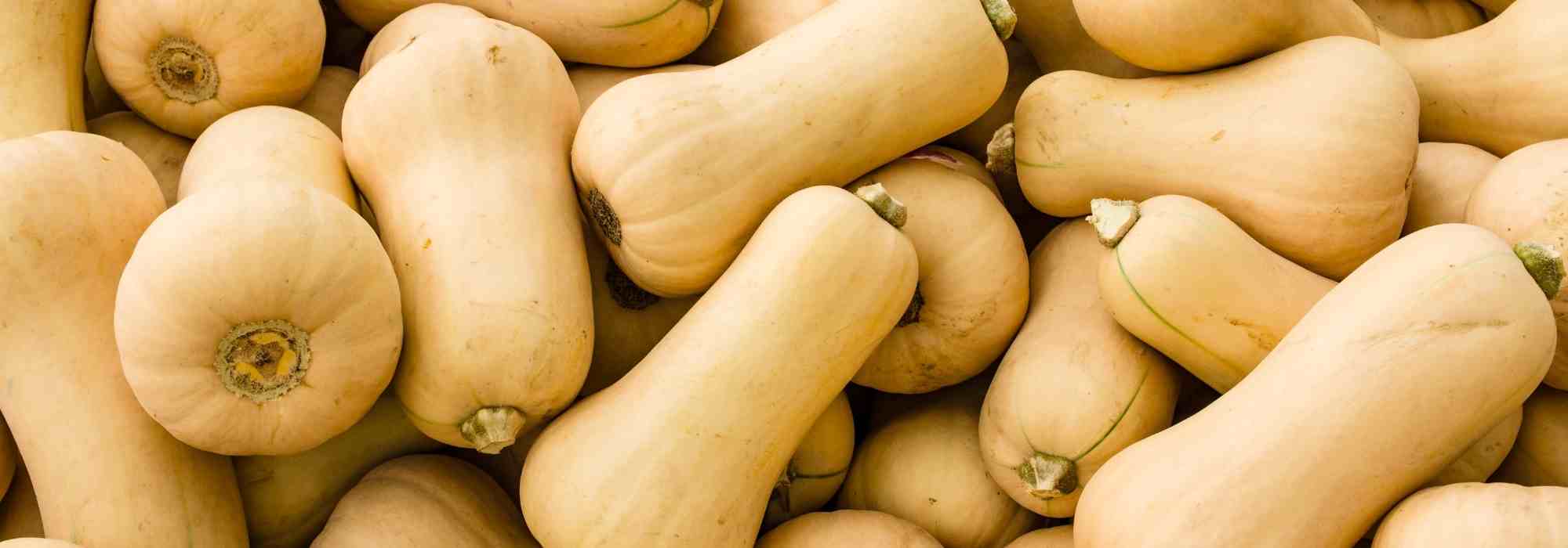 How to grow butternut squash? Our tips