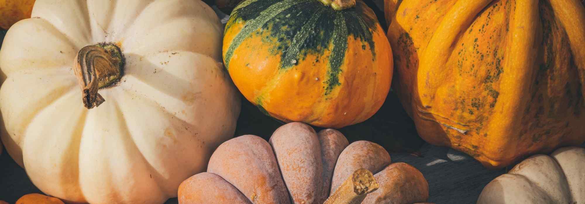Little-known or forgotten squashes: treasures for the kitchen garden