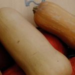 Butternut squash vs potimarron squash: what are the differences in the kitchen garden and in cooking?