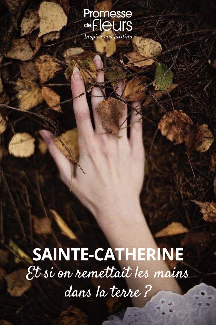 Gardening on Saint Catherine's Day