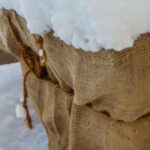 Protecting plants in winter: combating cold and dehydration