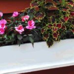 Ideal plants for a narrow planter: our best options