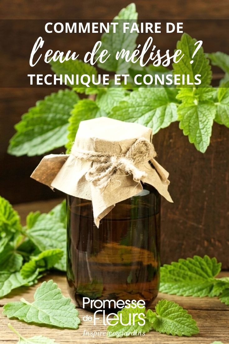 lemon balm water
