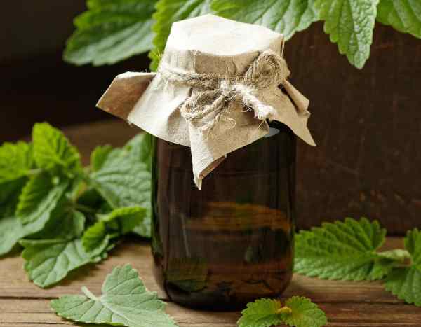 How to make your own lemon balm water at home?