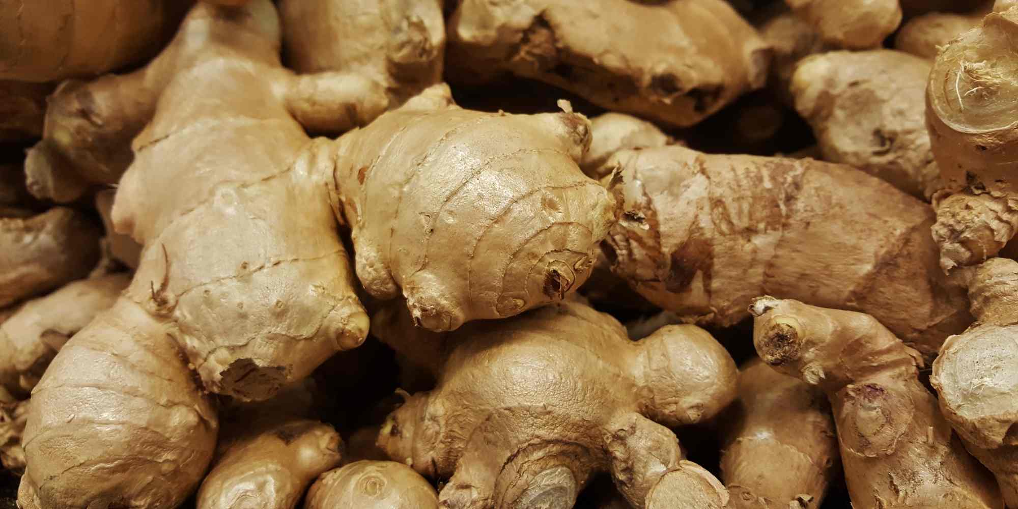 Growing ginger for its health benefits
