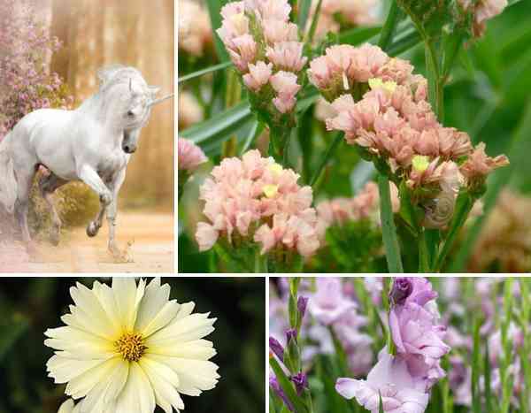 Unicorn Colour Trend
