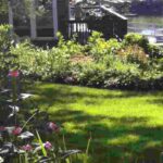 Creating a border in a windy garden