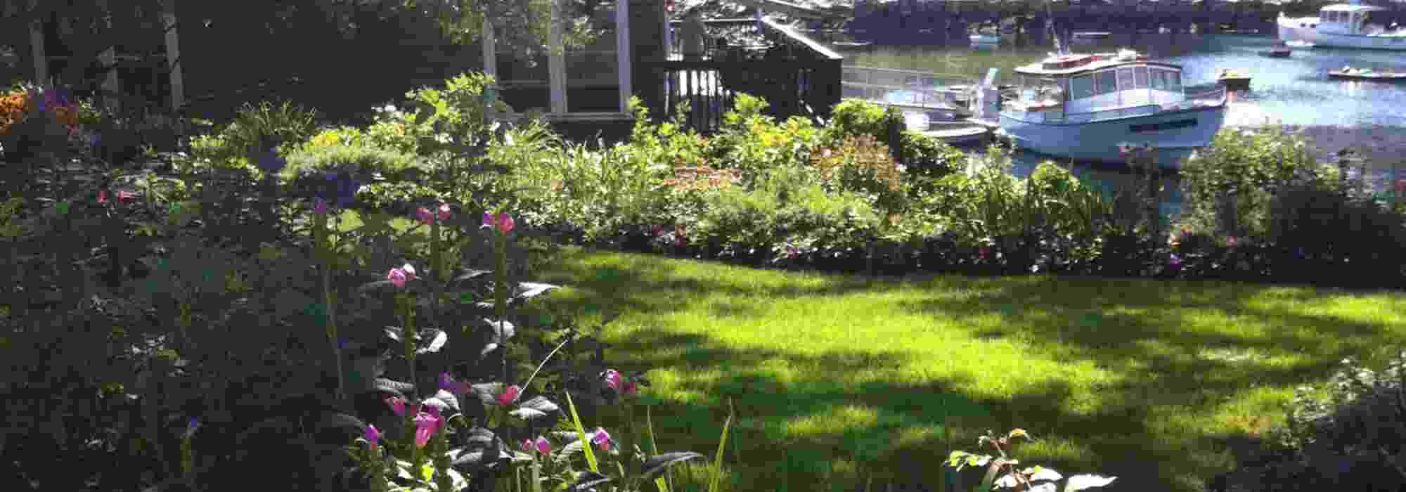 Creating a border in a windy garden