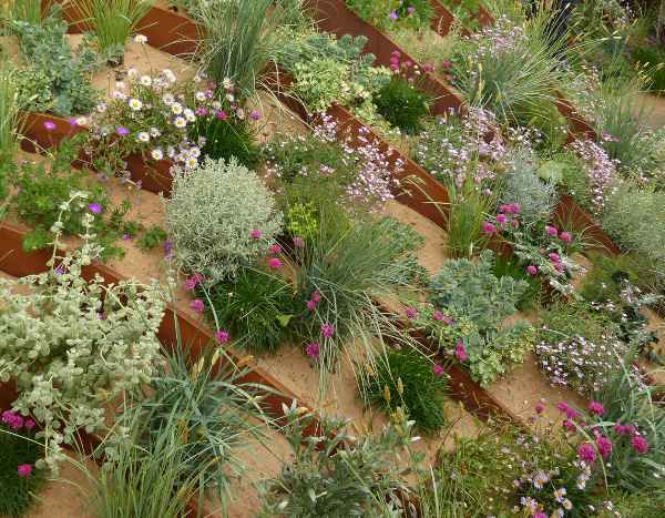 Sand garden: a bold, contemporary landscaping inspiration