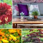 Boho Patio trend: how to style a terrace with bohemian charm!