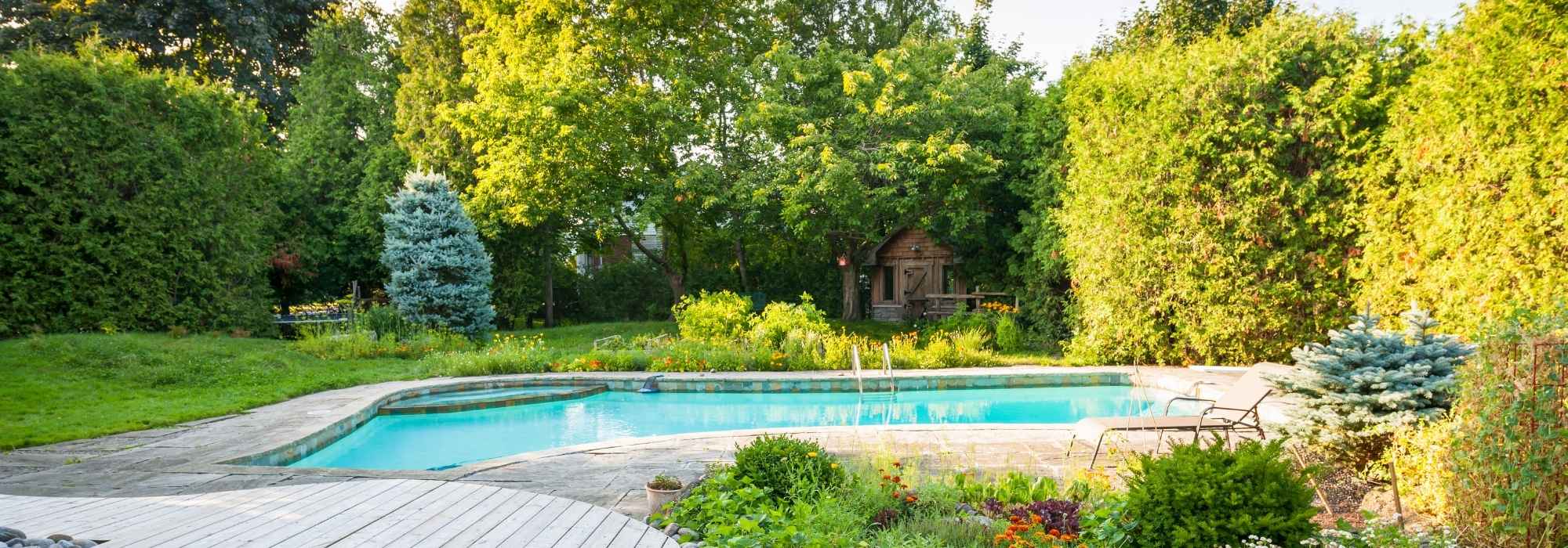 Which plants to choose around a pool?