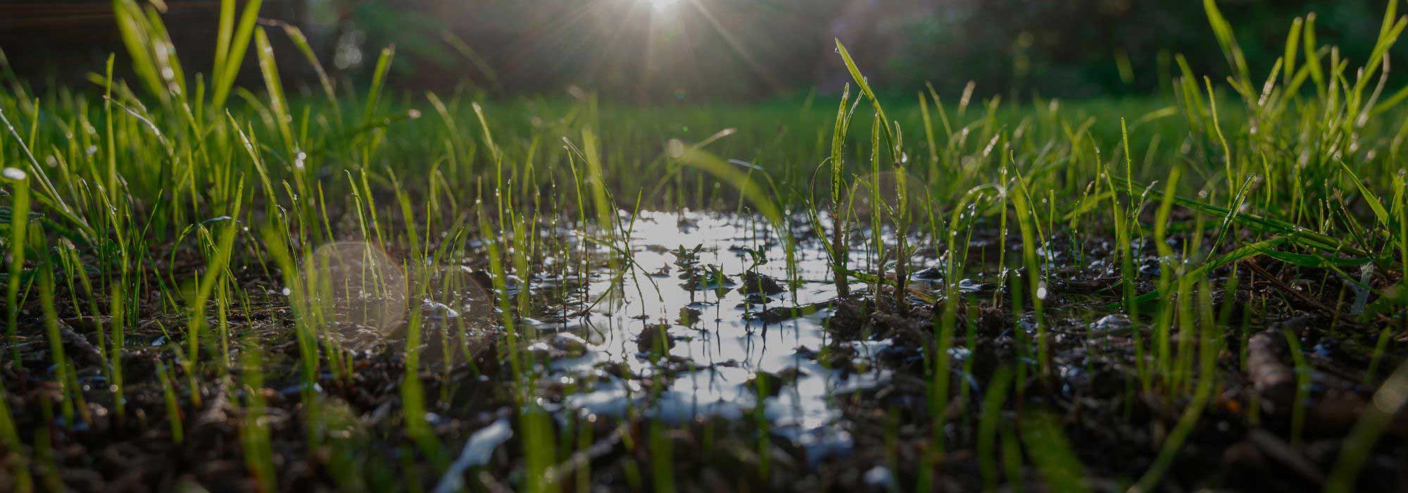 How to help soil retain water?