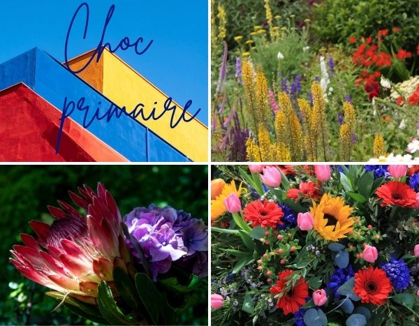 Colour trend: "Primary Shock" revitalises the garden