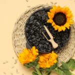 How to harvest and store sunflower seeds?
